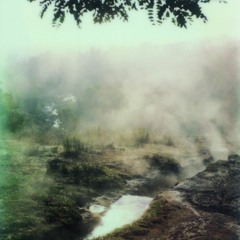 only a still wind (for two microtonal accordions)