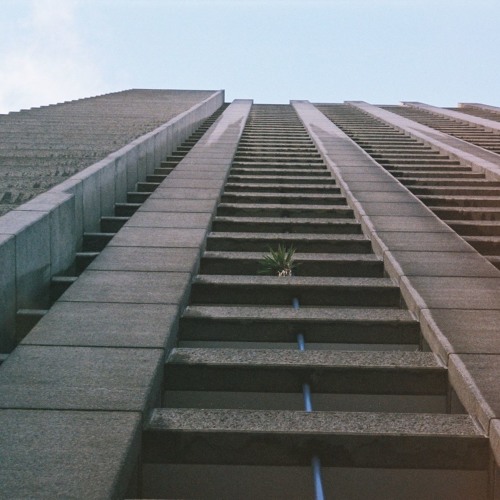 Some Things Stay The Same 02