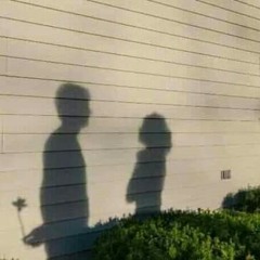 رسائل فلاديمير إلى فيرا