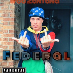 FEDERAL