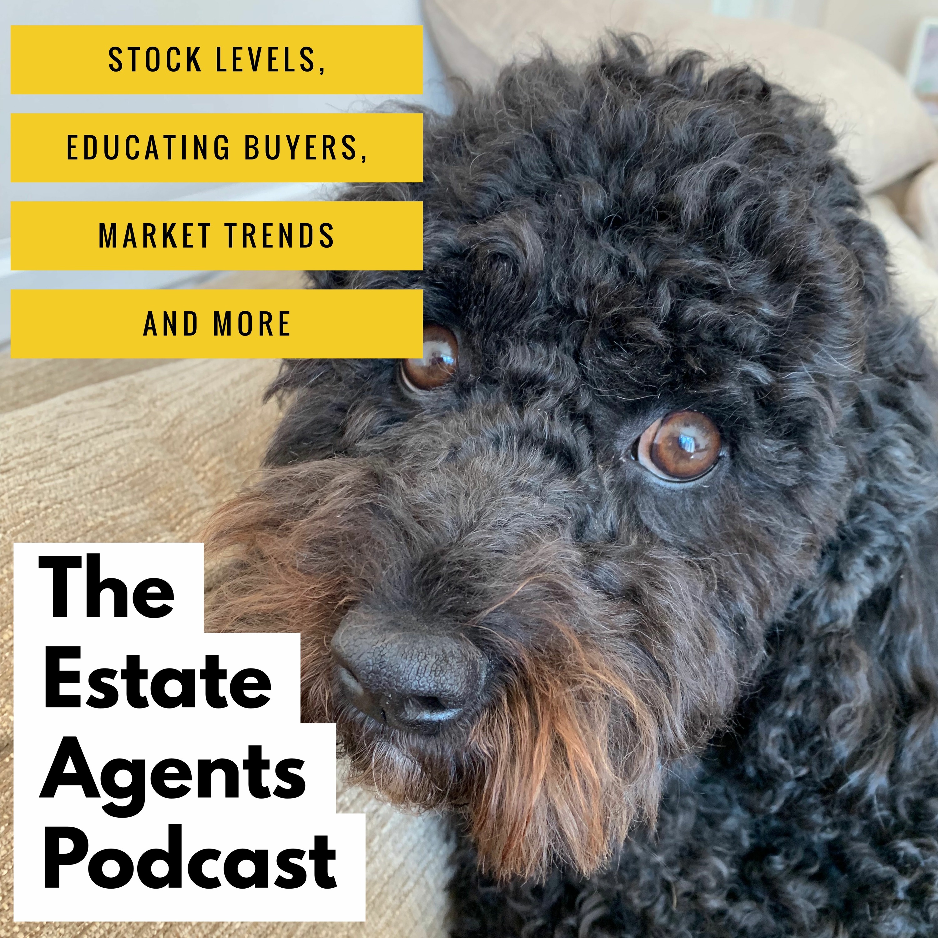 The Estate Agents Podcast
