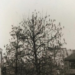 Session 1: Sunshine_isnt_Forever(Hard Techno Acid)