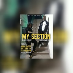 My Section