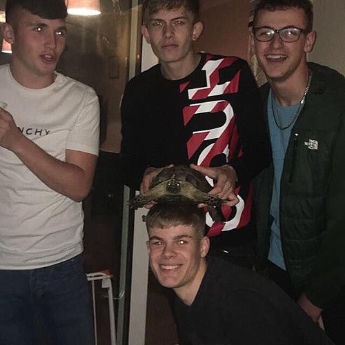 new monkey part 4