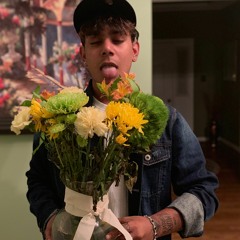 BEE'S KNEES FREESTYLE (Prod. Dustin Cavazos)