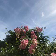 delightful w/ examining