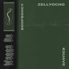 Zellyocho ft. BOOFBOIICY + K Suave - Wanna Do (Prod.Surreal Chapo)