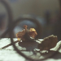 The Message (prod. Bzkt)