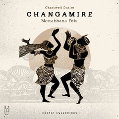 Chartwell Dutiro - Changamire (Mettabbana Edit)