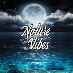 NatureVibes - Beach Radio UK