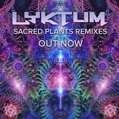 142 G - Lyktum - Sacred Plants (Space Travel Rmx) FREE DOWNLOAD