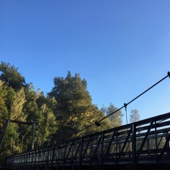 Lake Matherson Swing Bridge Morning