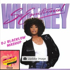 Emotional Paradise (DJ Blacklow Mashup) - Alessander Gelassi Vs. Whitney