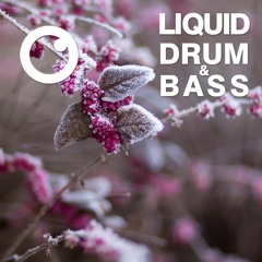 Liquid Drum and Bass Sessions  #11 : Dreazz [October 2019]