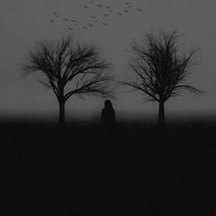 PP Pops - Dark Night