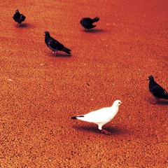 モンゴロイドブルース- andymori -（cover）