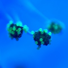 xxyyx