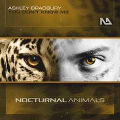 Ashley Bradbury - You Don't Know Me TEASER 08/11/19  NOCTURNAL ANIMALS