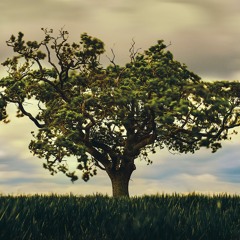 나무(Tree)