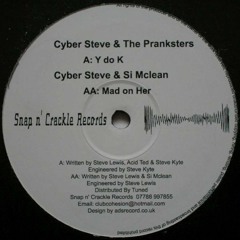 Y Do K - Cyber Steve & The Pranksterz ( free download )