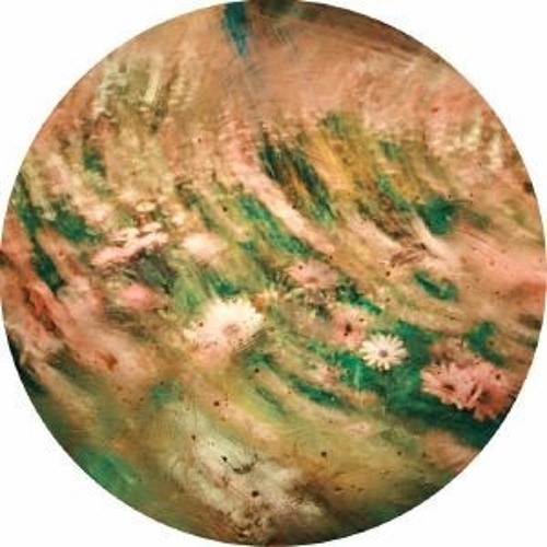 Premiere : Camelia - Transferring (DFLT002)