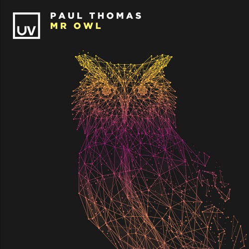 Paul Thomas - Mr Owl - UV