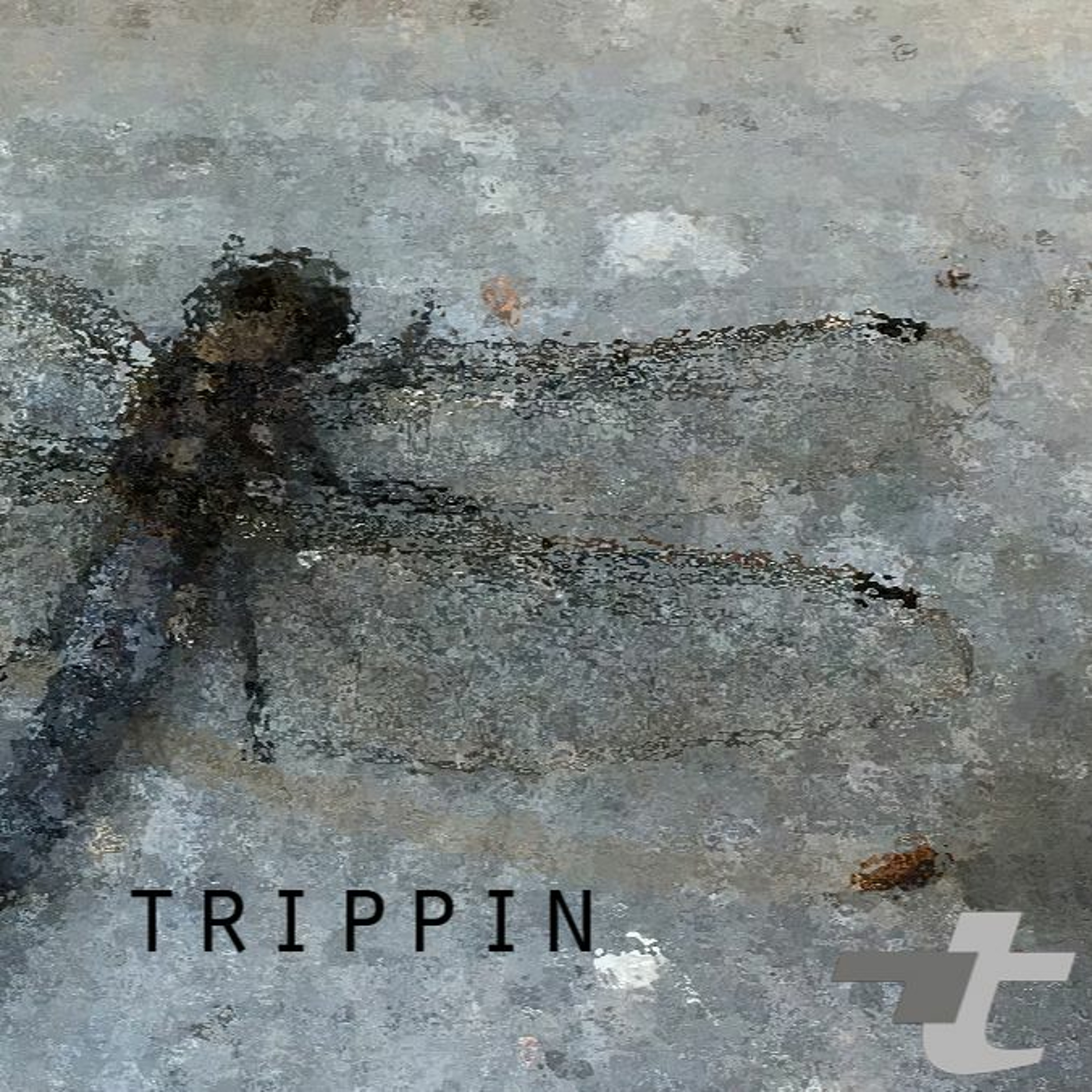 Trippin episode artwork