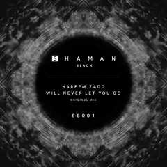 Kareem Zadd - Will Never Let You Go [OriginalMix]