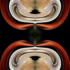 Vortex