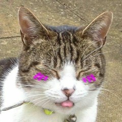 Midnight Lo-Fi | Hip Hop