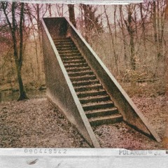 Sektr - Stairs In The Woods