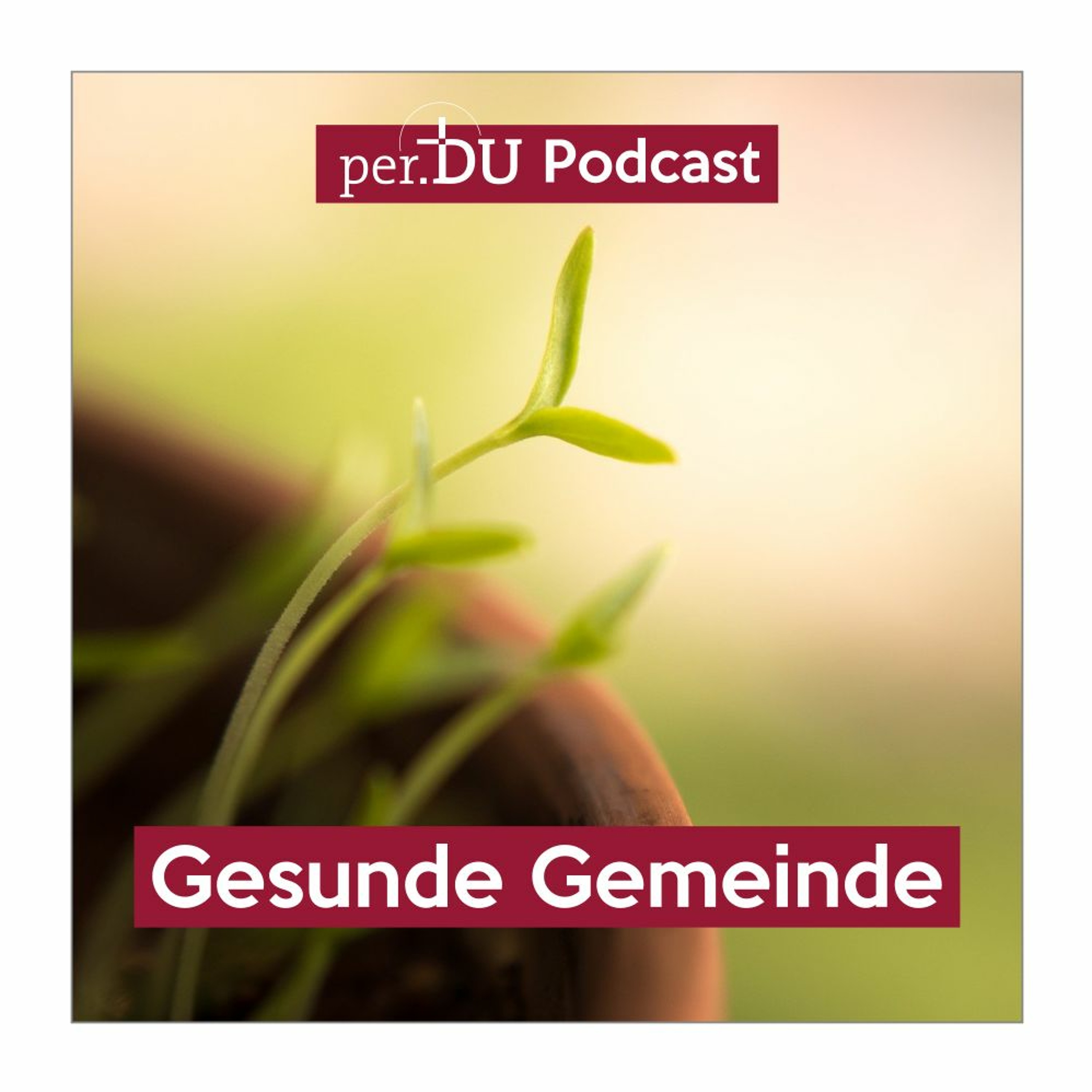 Gesunde Gemeinde - hat hingegebene Leiter - Jonathan Knodel episode artwork