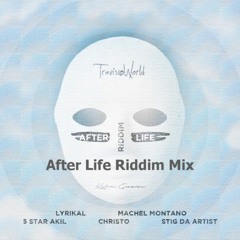 After Life Riddim Mix HD (Audio)