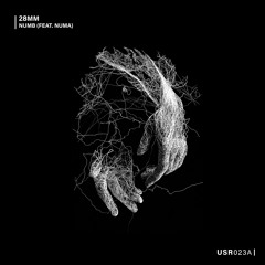 Numb (feat. Numa)