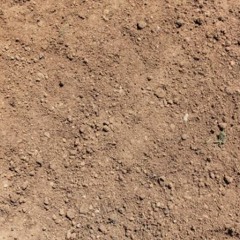 Just a bunch of songs by Benson