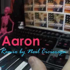Aaron - remix by Neil Cicierega