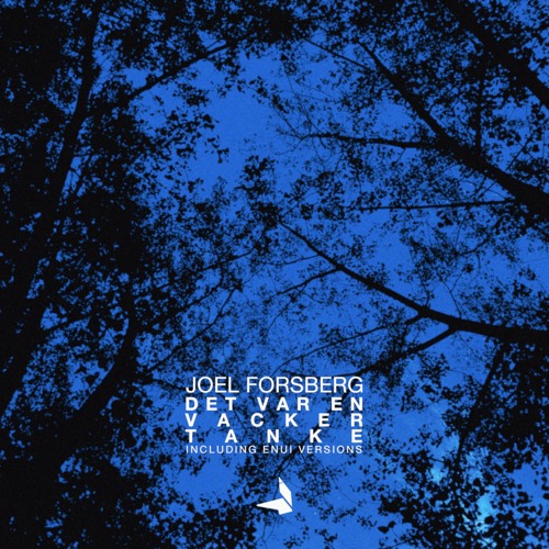 Joel Forsberg - Det var en vacker tanke