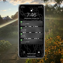 Missed Calls [Remix] (feat. Adamn Killa + egodeath + David Chamberlain)