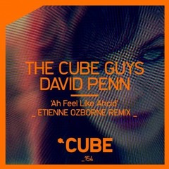 David Penn, The Cube Guys - Ah Feel Like Ahcid (Etienne Ozborne Remix)
