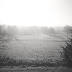 Tide Pools (WUTC 88.1)