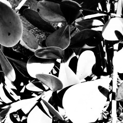 sinto-me (instrumental)