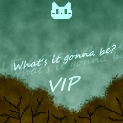 What's It Gonna Be? (VIP)