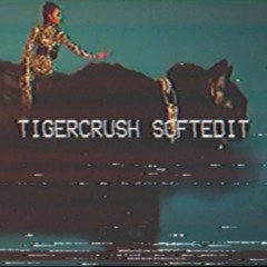 beyonce x cavalier - kitty cat (tigercrush turbocharged softedit)