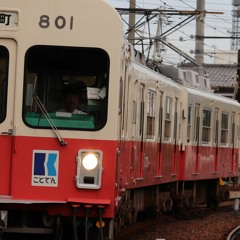 厳選版