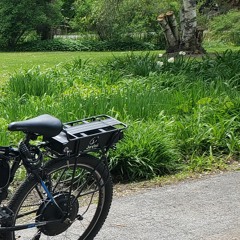 The Sorrel Path ft TheLeach