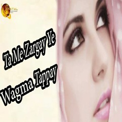 Ta Me Zargay Ye -  Tappay -  Wagma -  Pashto Singer
