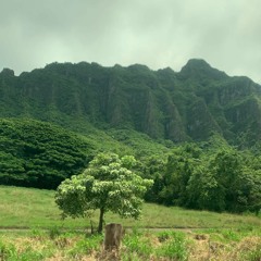 Let's See Where We Go (Instrumental)