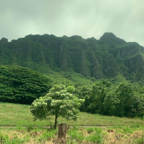 Let's See Where We Go (Instrumental)