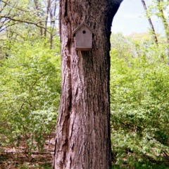 Smushie - Kathy and Paul