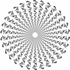 Seb Zito - Arped Edge (FUSE039)